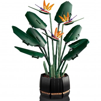 Конструктор LEGO BOTANICAL COLLECTION «РАЙСКАЯ ПТИЦА» Коллекционные наборы 10289